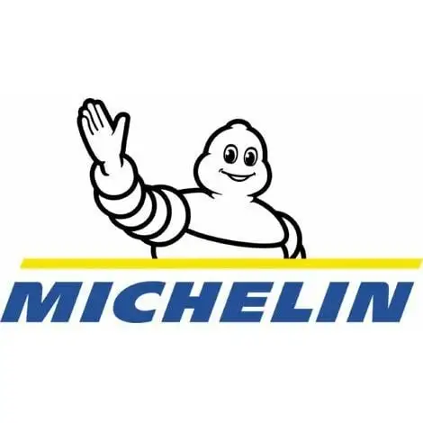 Le moins cher ? Compresseur Michelin 100 Litres 3 CV 10 Bars ? 2 Le moins cher ? Compresseur Michelin 100 Litres 3 CV 10 Bars ? – Image 2
