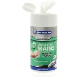 Tout neuf ? MICHELIN BOÎTE 40 LINGETTES MAINS ✨