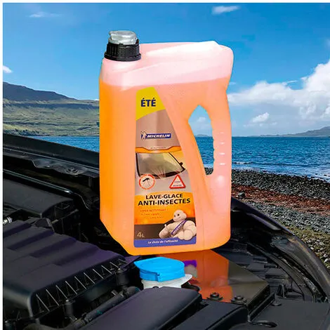De gros ? Lave-glace été Anti-insectes - 4L - Michelin ? 2 De gros ? Lave-glace été Anti-insectes - 4L - Michelin ? – Image 2